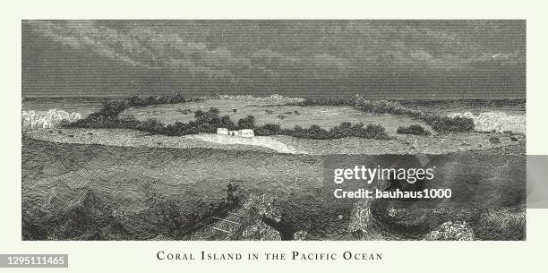 coral island in the pacific ocean, notable geological formations engraving antique illustration, published 1851 - reef stock illustrations