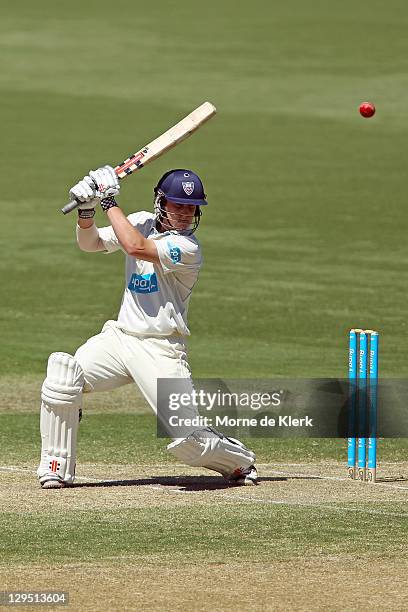 Nicolas Maddinson of the Blues bats during day two of the Shieffield Shield match between the South Australia Redbacks and the New South Wales Blues...