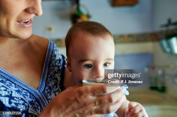 mother with her baby in the kitchen, drinking tea - baby cup fotografías e imágenes de stock