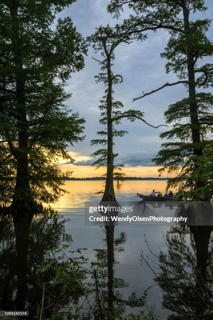 Sunset at Reelfoot Lake in TN
