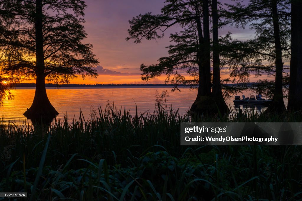 Sunset at Reelfoot Lake in TN