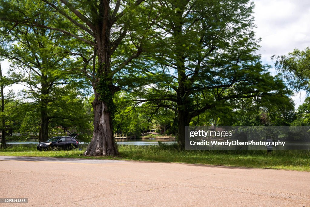 Hanging out at Kirby Pocket, Reelfoot Lake, TN