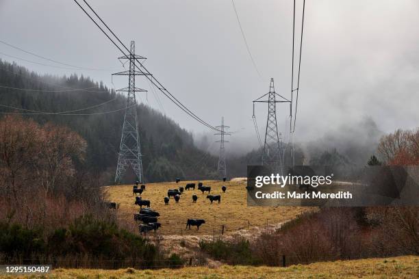 73 Nz Electric Power Lines Stock Photos, High-Res Pictures, and Images