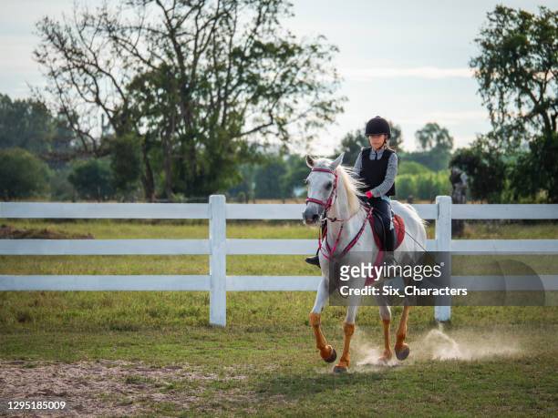 junge asiatische mädchen genießen reiten auf dem bauernhof, mädchen reiten ausbildung auf der ranch, sie reiten ein weiß gefärbtes arabisches pferd in thailand - portrait hobby freizeit reiten stock-fotos und bilder