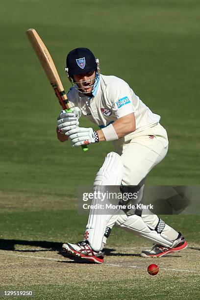 Peter Nevill of the Blues bats during day two of the Shieffield Shield match between the South Australia Redbacks and the New South Wales Blues at...