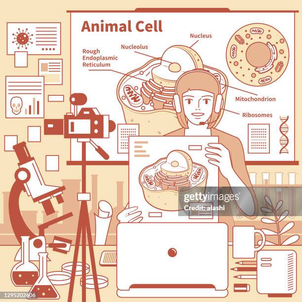 young female teacher (scientist, biologist) with headphones is remotely teaching biology (online class and scientific experiment) using laptop and camera and whiteboard at laboratory (classroom), e-learning and telecommuting concept - mitochondrion stock illustrations