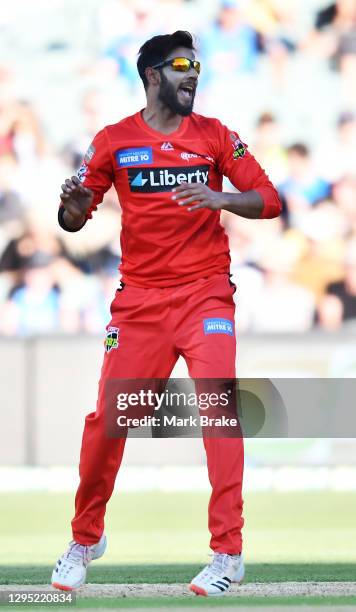 Imad Wasim of the Renegades celebrates the wicket of Alex Carey of the Strikers during the Big Bash League match between the Adelaide Strikers and...