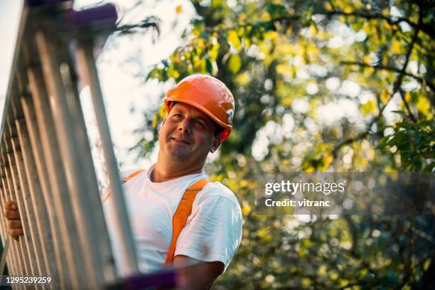 construction worker carrying ladder - tiler stock pictures, royalty-free photos & images