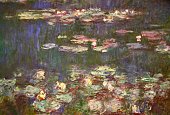 Waterlily Paintings