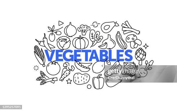 vegetables related web banner line style. modern linear design vector illustration for web banner, website header etc. - cooked broccoli stock illustrations