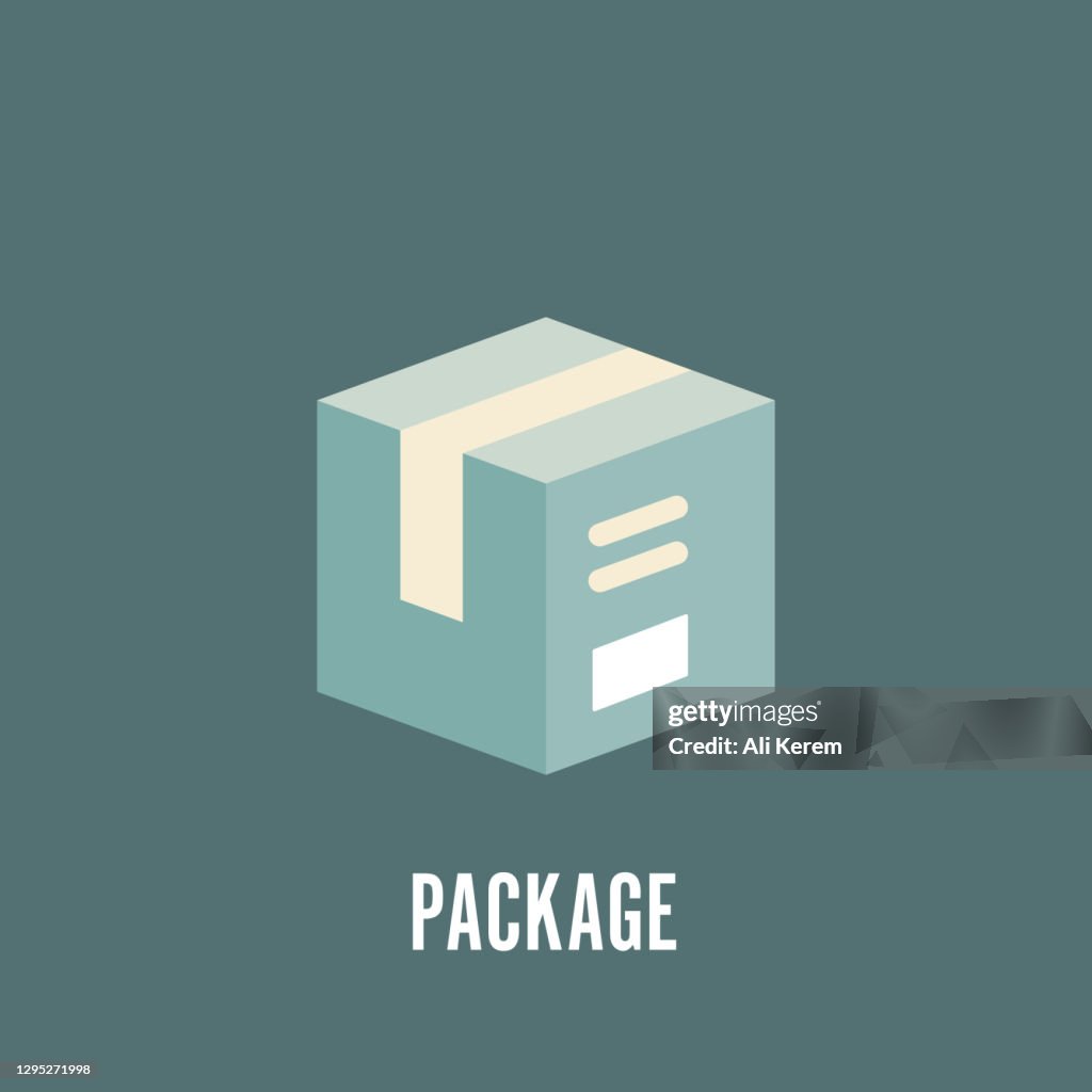 Package Flat Icon