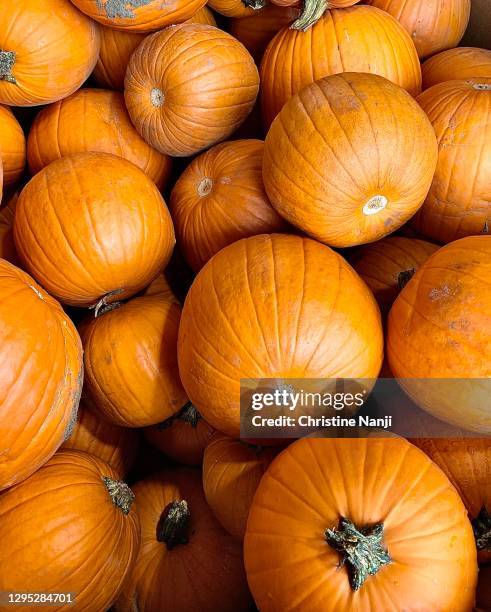 vegetables - café con leche con especias de calabaza fotografías e imágenes de stock