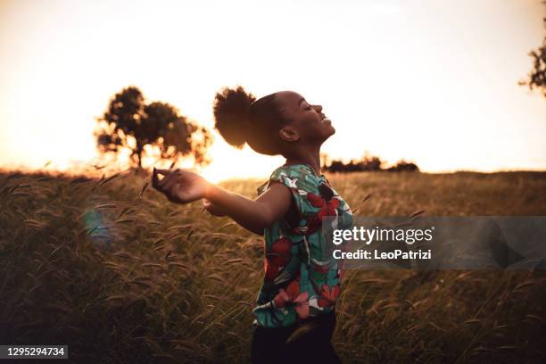 femme appréciant la liberté dans un beau coucher du soleil dans la campagne - les bras écartés photos et images de collection