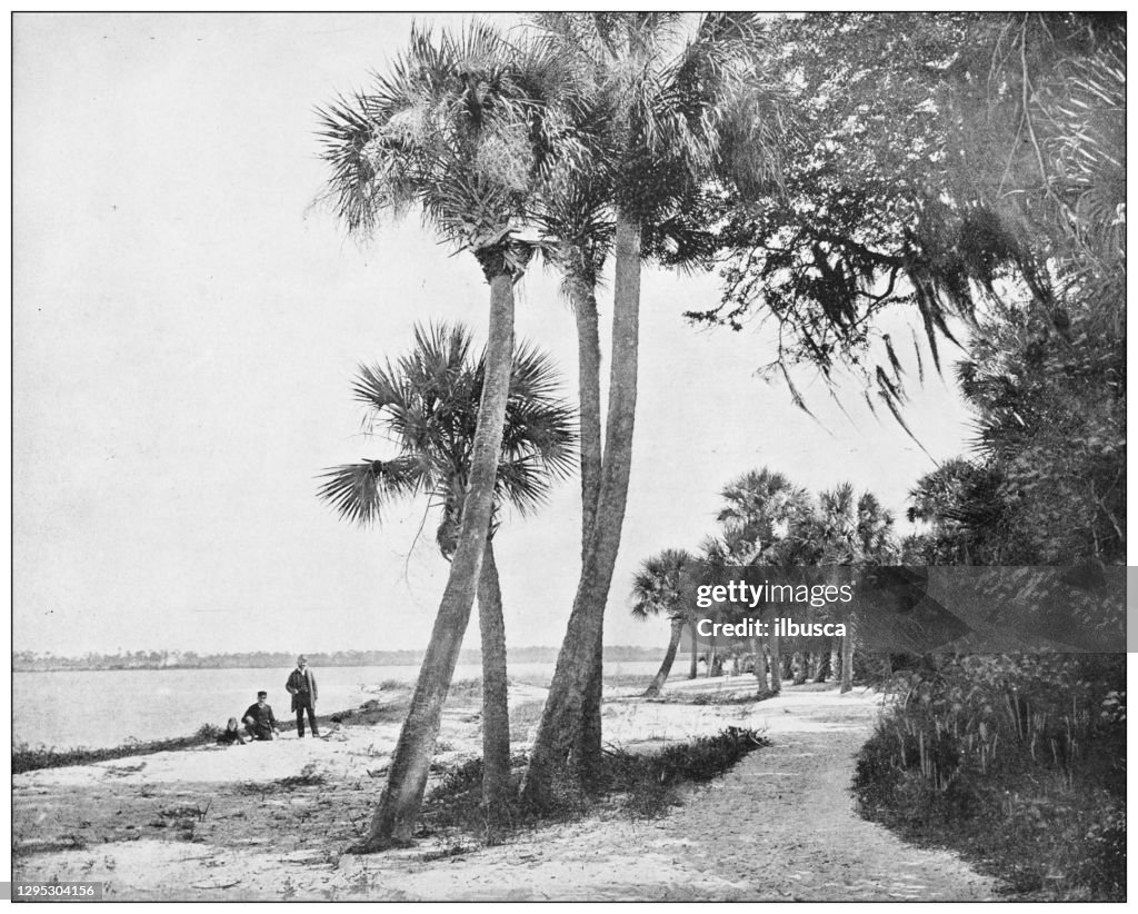 Antique photograph: Indian River, Florida