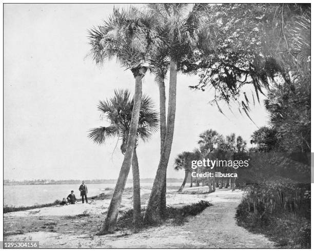 antique photograph: indian river, florida - indian river lagoon stock illustrations
