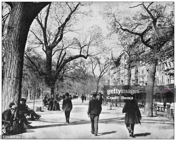 antique photograph: tremont street and "commons", boston - boston commons stock illustrations