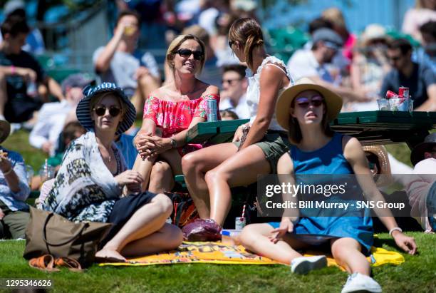 Fans gather on Murray Mount at Wimbledon.