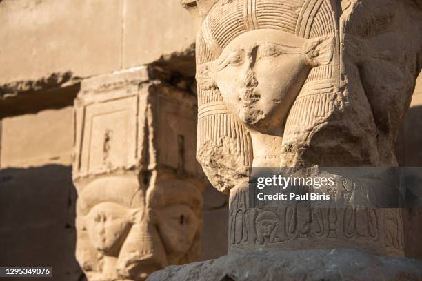 close up view of goddess hathor, dendera temple complex - cleopatra stock pictures, royalty-free photos & images