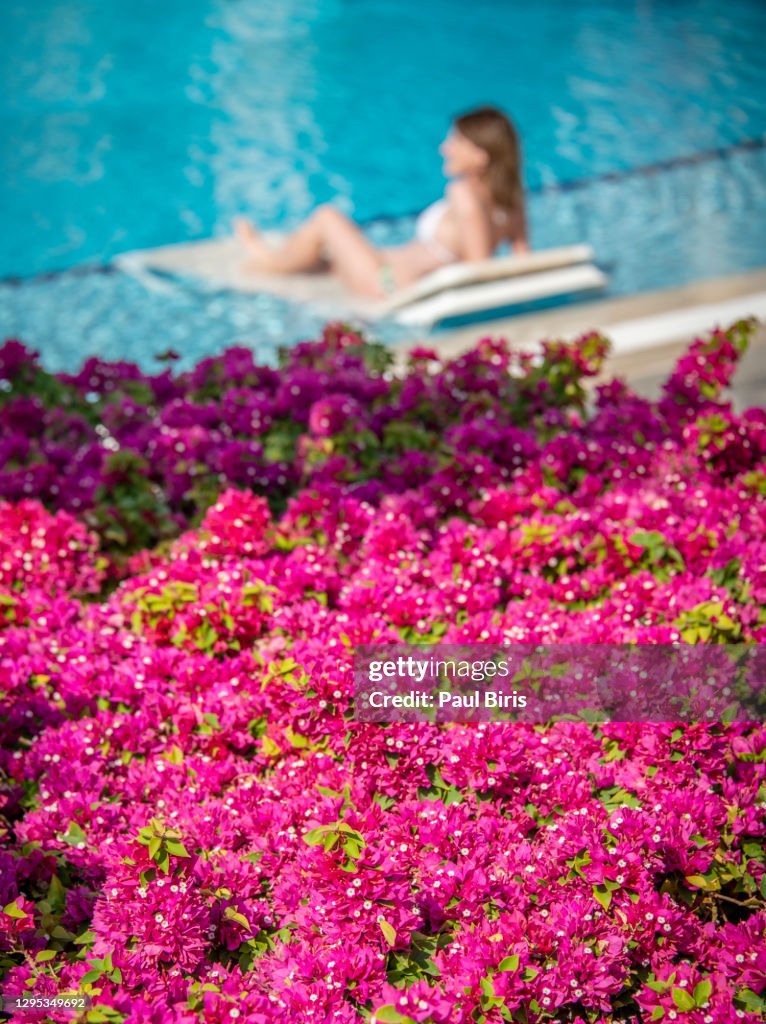 Woman sunbathing on a lounger at the pool , Hurghada, Egypt