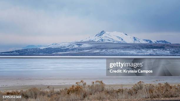 winter landscape at antelope island - great salt lake, utah - ilha de antelope imagens e fotografias de stock