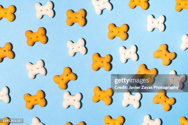 some bone shaped dog treats on blue background - bones pattern stock pictures, royalty-free photos & images