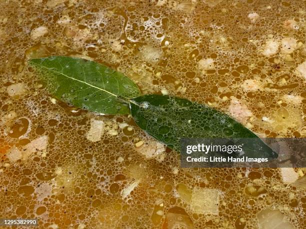 bay leaves in soup - bayleaf stockfoto's en -beelden