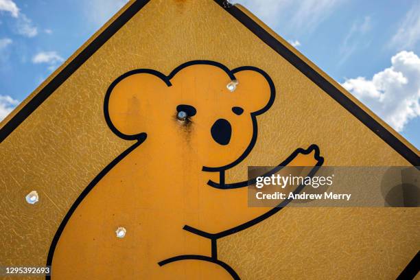 close up of koala crossing sign with bullet holes, australia - gun control icon stock pictures, royalty-free photos & images