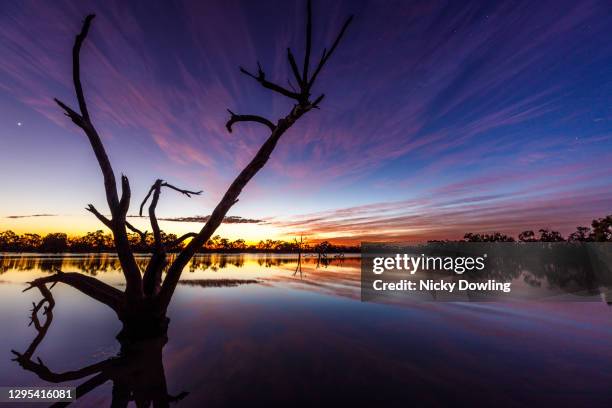 sunrise in qld outback - outback queensland stock-fotos und bilder