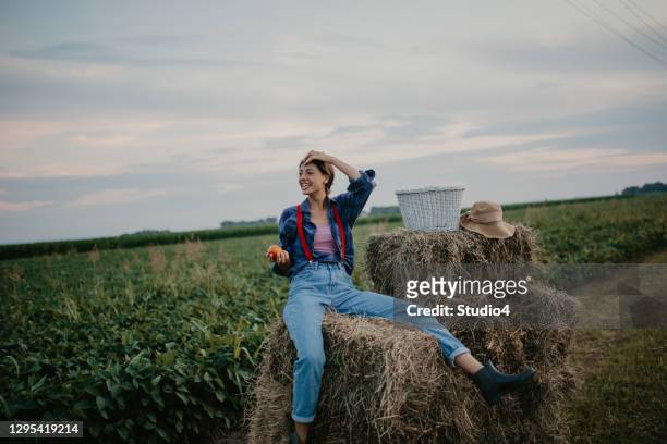 energizing on a farm - plus key stock pictures, royalty-free photos & images