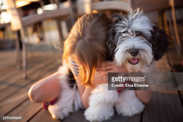 child hugging young havanese dog next to an outdoor dining area at a summer holiday villa - havanese stock pictures, royalty-free photos & images