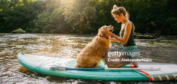 days like this - dog yoga stock pictures, royalty-free photos & images