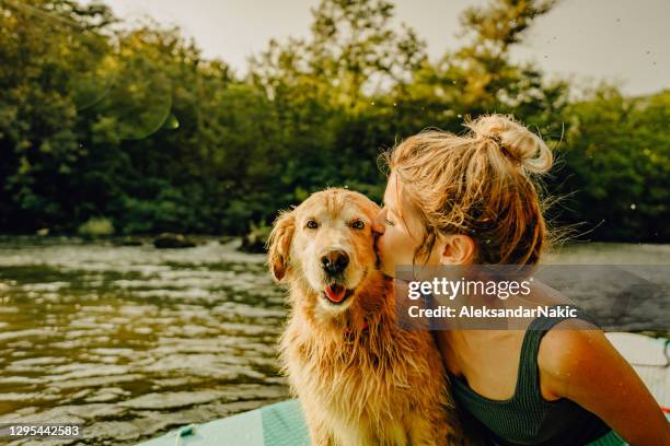 my best friend - surf dog competition stock pictures, royalty-free photos & images