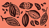 Cocoa pod and many raw beans set isolated on orange background. Logo template. Vector illustration.