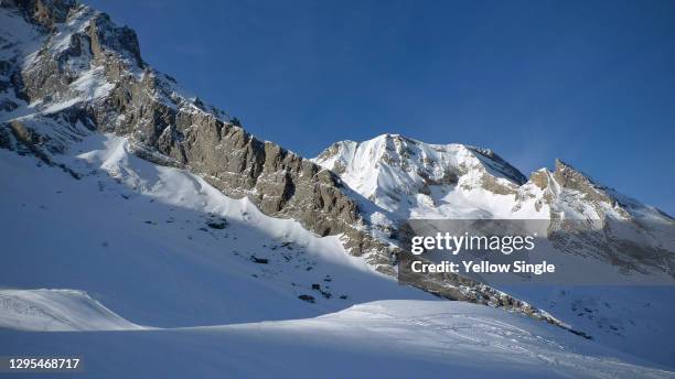 Ger High Resolution 233 Ger (Pyrénées Atlantiques) Stock Photos, High-Res Pictures, and ...