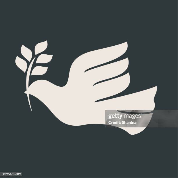 taube des friedens - doves stock-grafiken, -clipart, -cartoons und -symbole