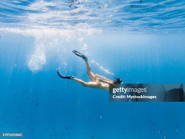 mujer se sumerge en el mar tropical, tiro submarino - snorkeling fotografías e imágenes de stock