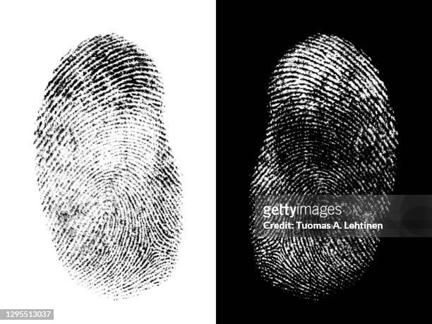 close-up of a black ink fingerprint on white background and white ink fingerpring on black background. - fingerprint stock pictures, royalty-free photos & images