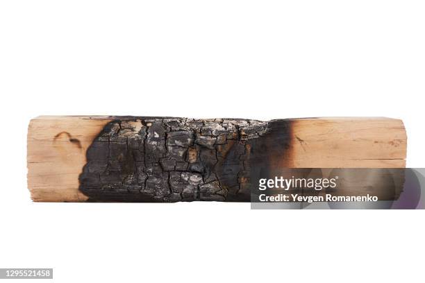 charred wooden log isolated on white background - burnt foto e immagini stock