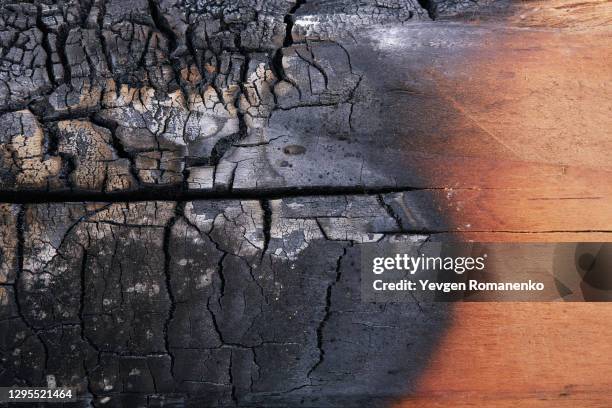 burnt wood texture as a background - ash imagens e fotografias de stock