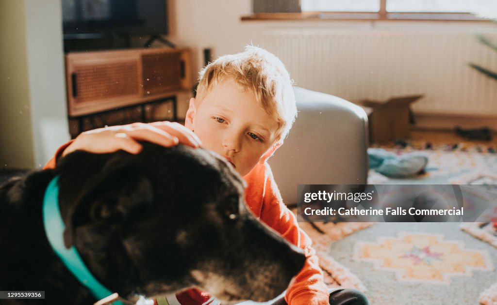 Boy places his hand on Dog's head in a Domestic Room