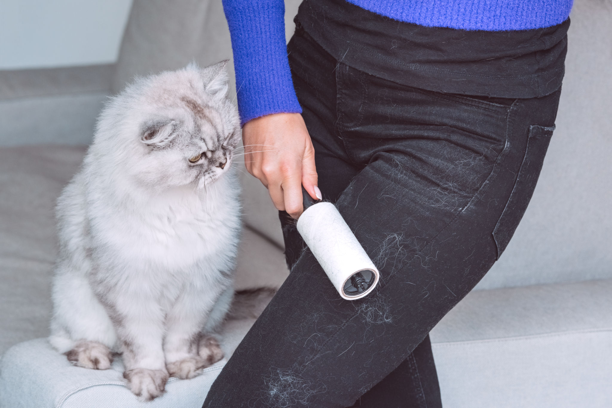 pet hair filter