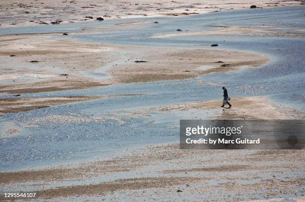 local man digging for clams at low tide near bar harbor, maine, usa - foraging on beach stock pictures, royalty-free photos & images