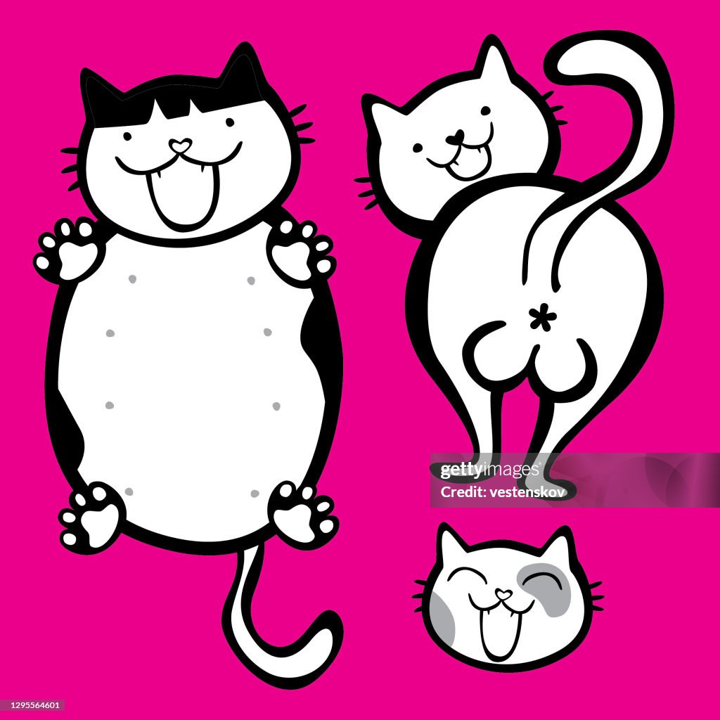 Cute illustration cats with funny face and gestures