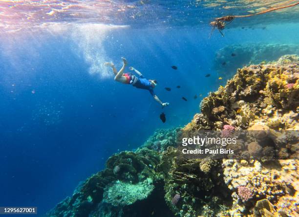 man snorkelling with an waterproof camera in sharm el naga, hurhgada, egypt - snorkel reef stockfoto's en -beelden