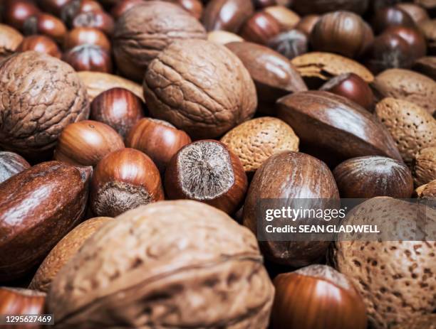 many nuts - nutshell stock pictures, royalty-free photos & images