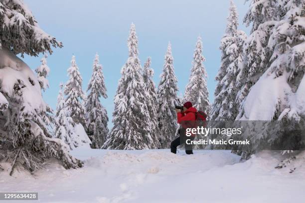 Red Jacket Snow 40,277 Red Winter Jacket Stock Photos, High-Res Pictures, and Images ...