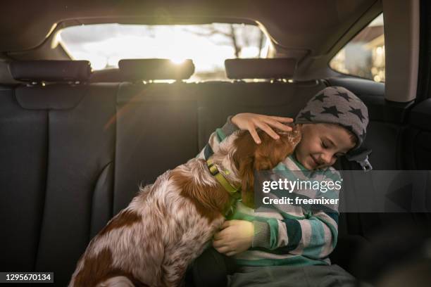 jeune garçon de sourire s’asseyant avec son crabot sur le siège arrière dans la voiture - dog in car photos et images de collection