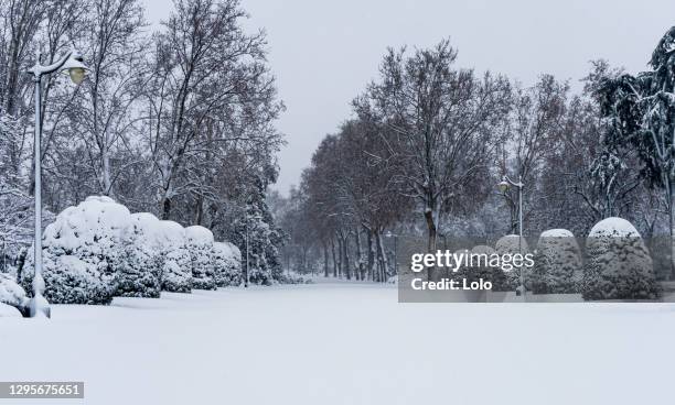 parque del retiro nevado - madrid snow stock pictures, royalty-free photos & images