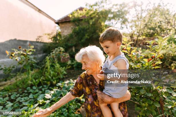 besuch von omas bio-gemüsegarten - grandmother and grandchild stock-fotos und bilder