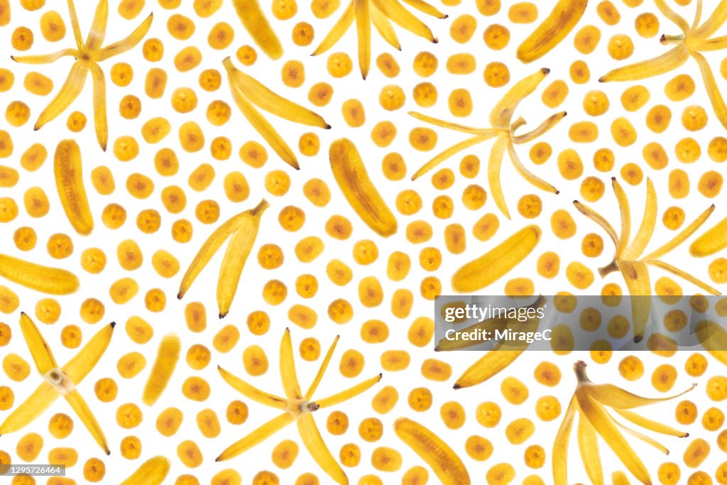 Peeled Banana Slices Back Lit Pattern